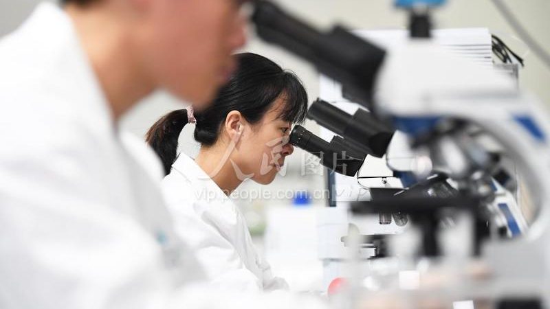 临床前研究外包：上海生物医药企业的明智之选**
