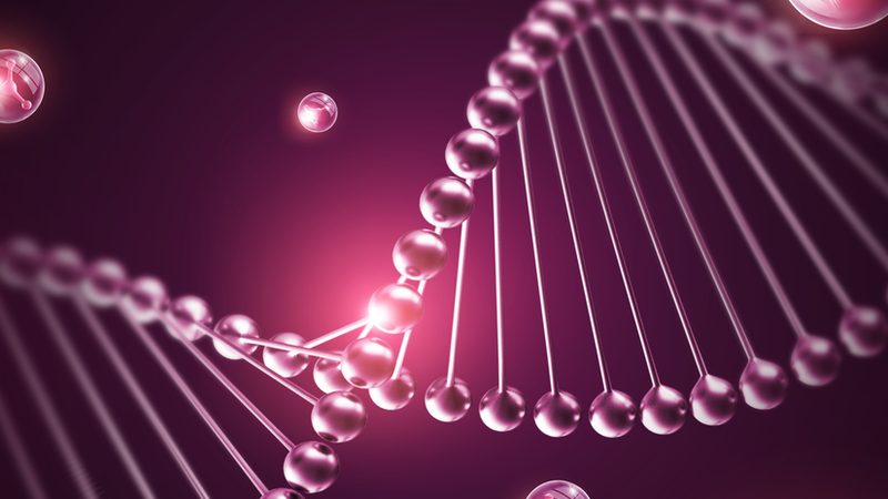 CDMO定制研发资质要求：揭秘合规之路
