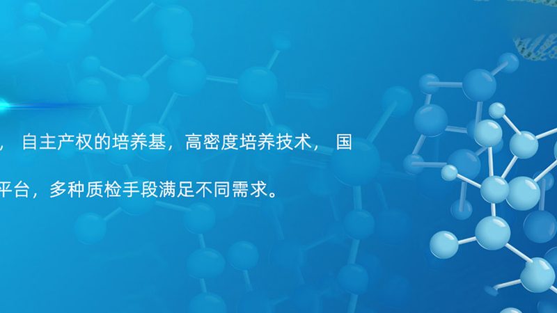 鼠抗人单克隆抗体储存条件：揭秘关键因素与标准**