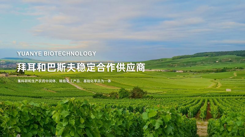 酶制剂定制不是先报价，而是先定目标