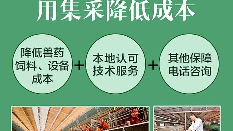 北京elisa试剂盒：精准检测的得力助手**