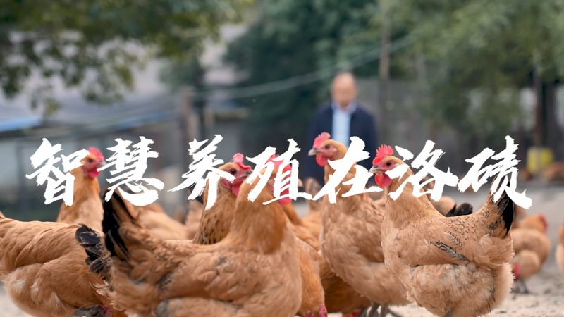 核酸提取仪：参数解析与选购要点**