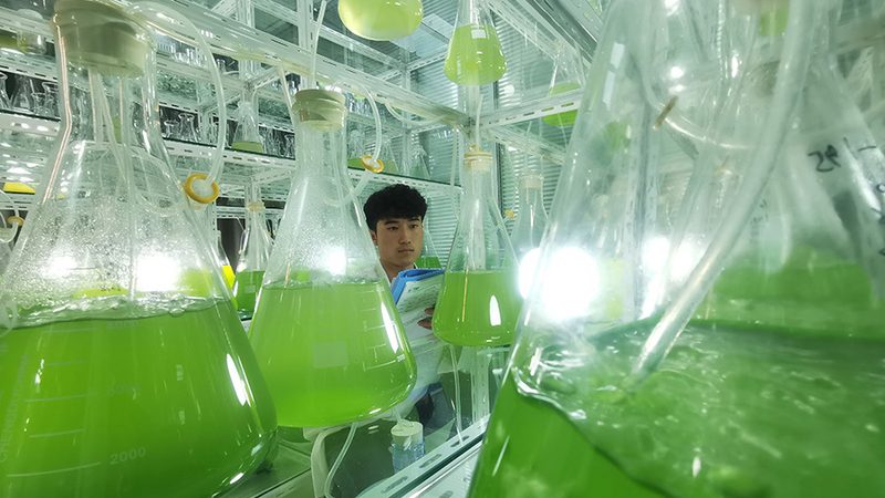 成都生物医药外包报价单：揭秘生物医药外包服务的价格构成